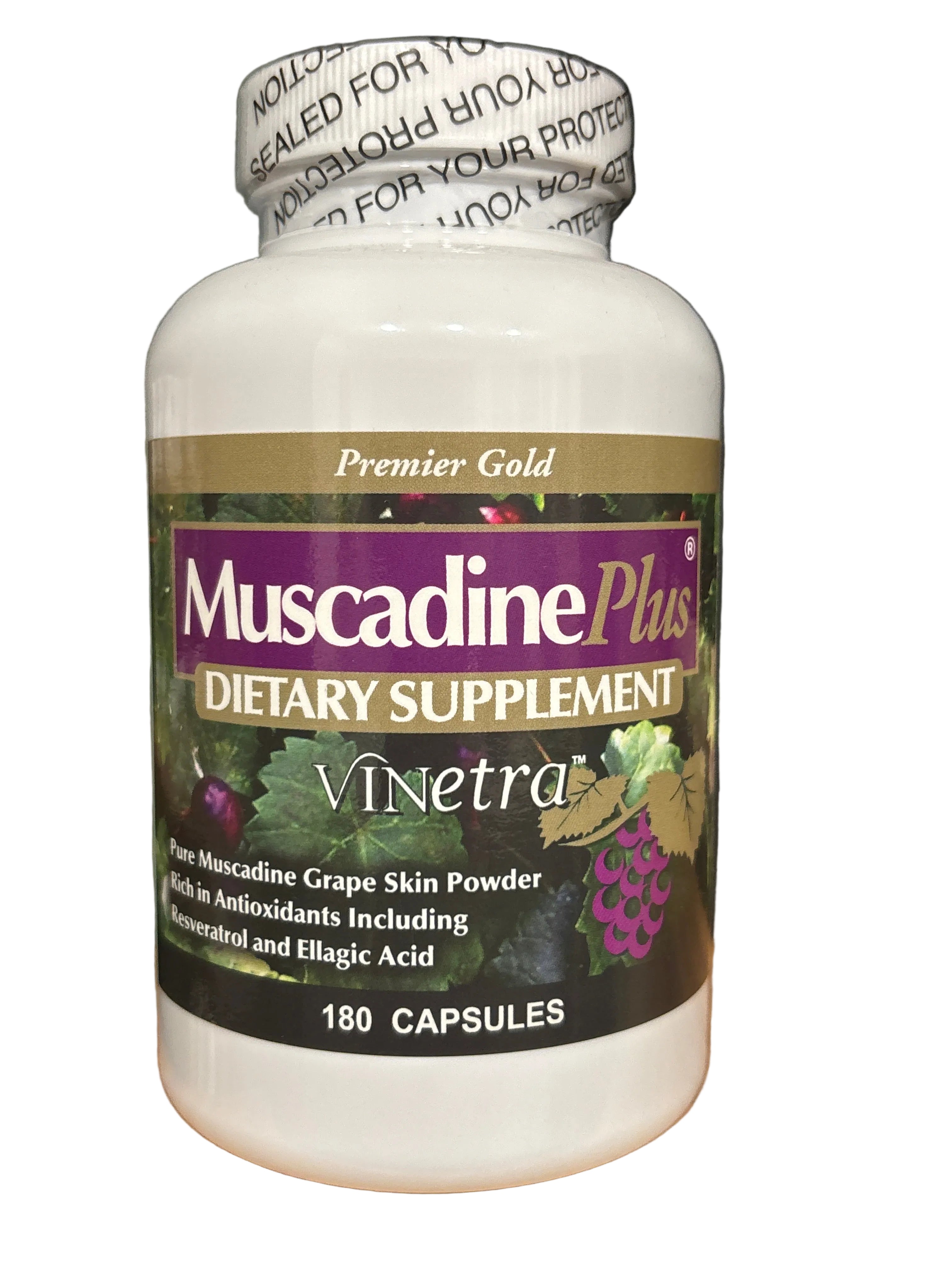 Muscadine