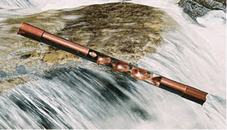 Water Revitalizer